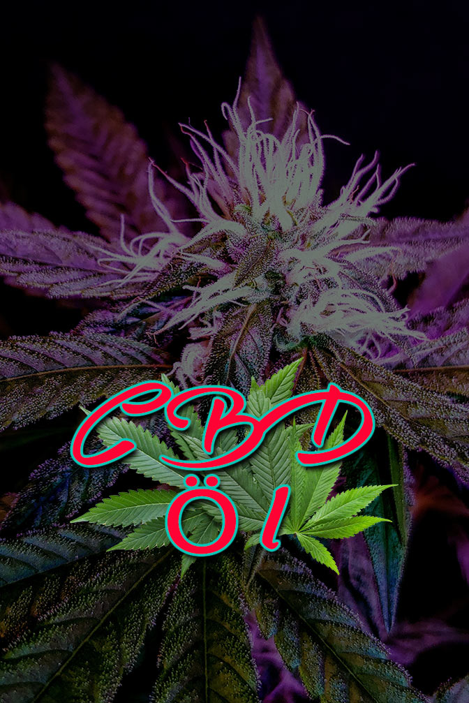 Cannabis Lexikon Begriff: "CBD-Öl" Bild