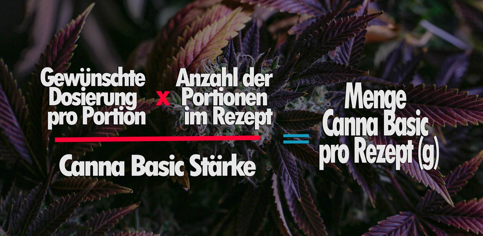 Teil 3: Alles zur Berechnung der THC Werte 1 Cannabis CBD Formel Mathe Bild