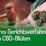 Weiteres Gerichtsverfahren wegen CBD-Blüten | DHV-News #248