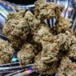 Cannabis CBD Artikelbild 3