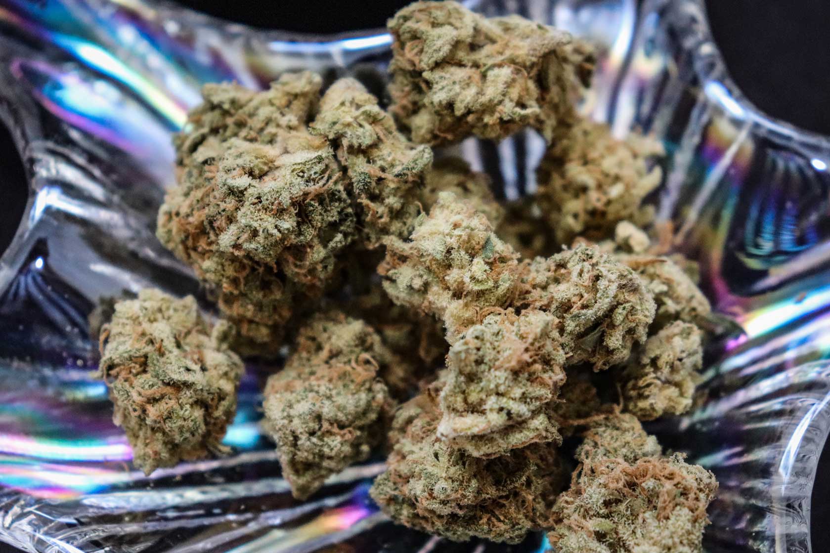 Cannabis CBD Artikelbild 3