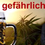 die wirkung von cannabis im verg