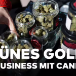 CANNABIS IN KALIFORNIEN: Humboldt County und der Preis der L...