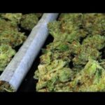 Die geheimen Tricks der Pharmaindustrie - Warum Cannabis nic...