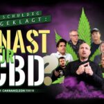 KNAST FÜR CBD? - Unschuldig ANGEKLAGT! | Die Enthüllungs-D...