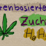 Cannabis Genetik Teil 2 | (l0, l1, H0, H1, H2) #aufklärung #...