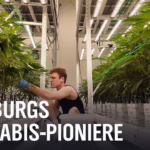Cannabis Social Clubs in Hamburg: Vor dem Joint kommt die Bü...