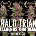 Emerald Triangle: The Legends That Remain [Cannabis Document...