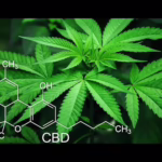 Marihuana - Doku|Deutsch|HD