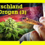 Provinz im Rausch: Cannabis-Hotspot an der deutschen Küste (...